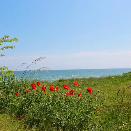 アパート Rex Rugia Fewo15-1 Mit Schwimmbad Und Saunanutzung Im Ahoi-erlebnisbad Sellin *